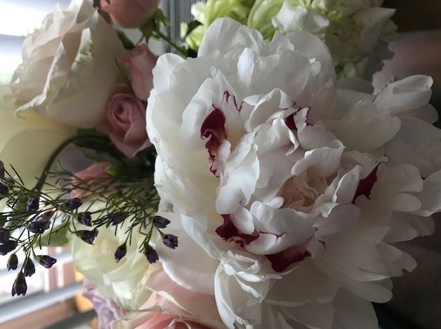 Peonies are popular flowers for wedding but back in history, it originally expresses anger.