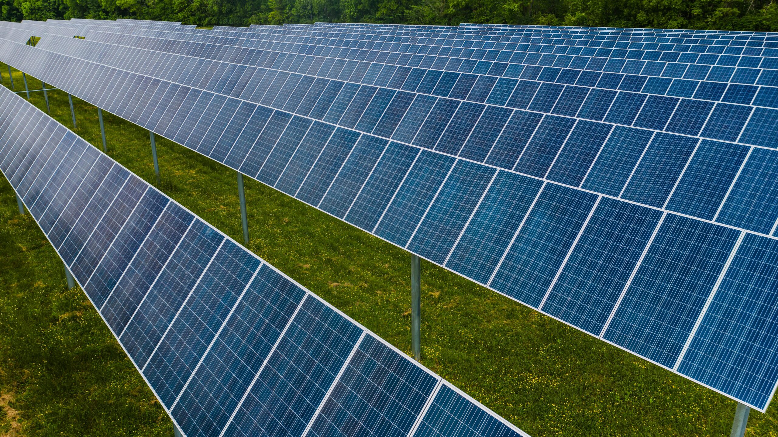 Maximizing Homestead Sustainability with Green Solar Energy